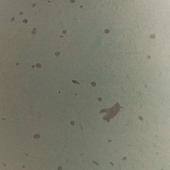 Baychester Vase - Coastal Roots Furniture (Courtenay, BC)