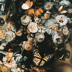 Valfer Wall Art - Coastal Roots Furniture (Courtenay, BC)