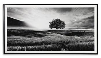 Deborland Wall Art - Coastal Roots Furniture (Courtenay, BC)