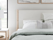Cadmori Upholstered Bed - Coastal Roots Furniture (Courtenay, BC)