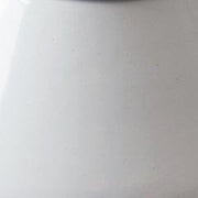 Domina Jar (Set of 2) - Coastal Roots Furniture (Courtenay, BC)