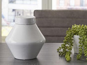 Domina Jar (Set of 2) - Coastal Roots Furniture (Courtenay, BC)