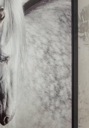 Archerwick Wall Art - Coastal Roots Furniture (Courtenay, BC)