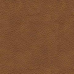 Carianna Sofa - Coastal Roots Furniture (Courtenay, BC)