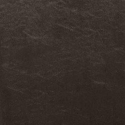 Kimonte Dining Chair - Coastal Roots Furniture (Courtenay, BC)