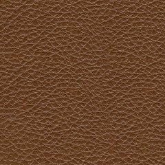 Healy Pier Power Reclining Sofa - Coastal Roots Furniture (Courtenay, BC)