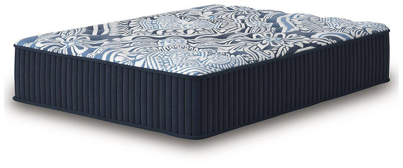 Firm Luxe 2.0 Mattress - Coastal Roots Furniture (Courtenay, BC)