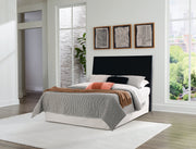 Danziar Bed - Coastal Roots Furniture (Courtenay, BC)