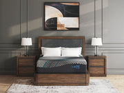 Millennium 2.0 Foam 14 Inch Mattress - Coastal Roots Furniture (Courtenay, BC)