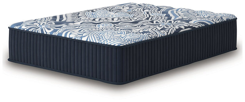 Firm Luxe 2.0 Mattress - Coastal Roots Furniture (Courtenay, BC)