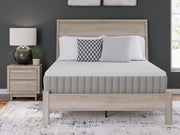 Terra Sleep Medium Mattress - Coastal Roots Furniture (Courtenay, BC)