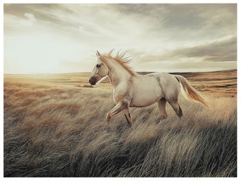 Errolville Wall Art - Coastal Roots Furniture (Courtenay, BC)