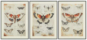 Jossletts Wall Art (Set of 3) - Coastal Roots Furniture (Courtenay, BC)